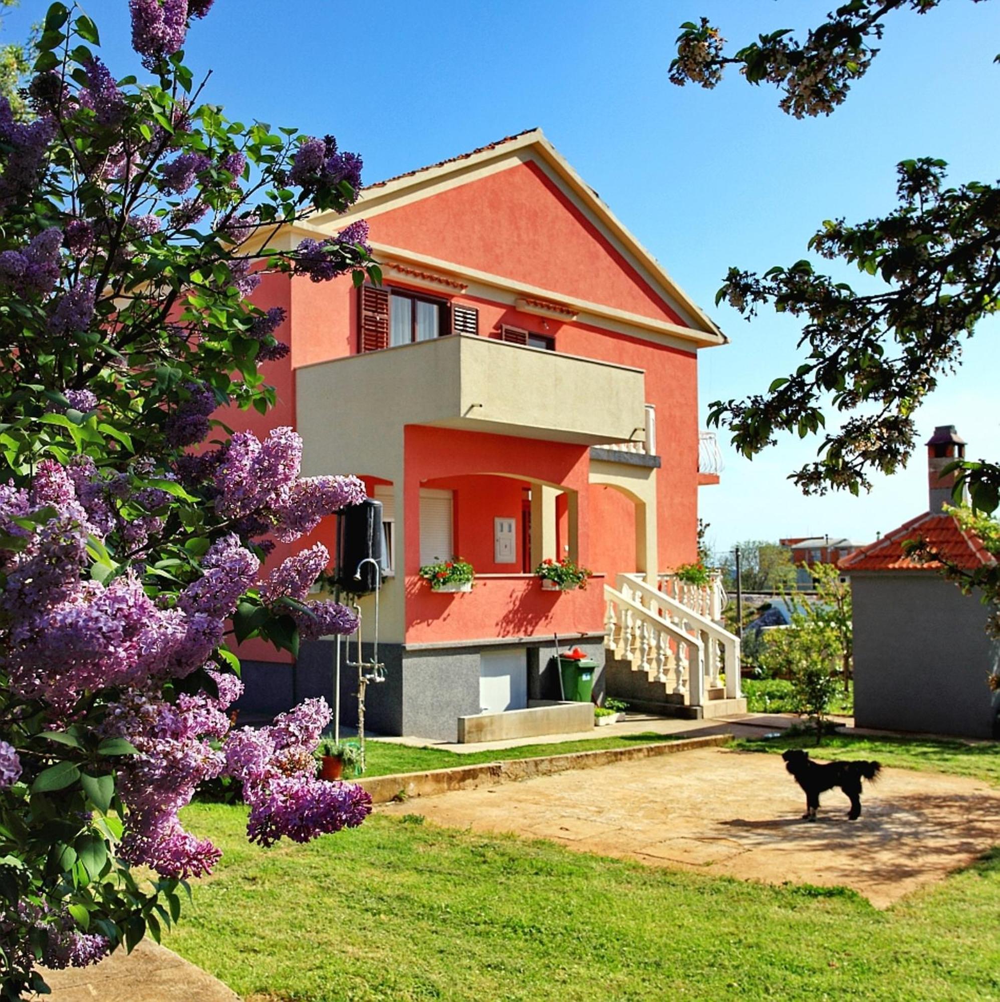 Apartments Sorić Bibinje Zewnętrze zdjęcie